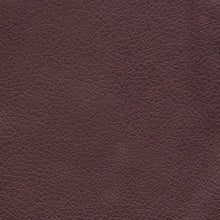 Load image into Gallery viewer, coffee bean brisa material