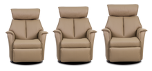 Load image into Gallery viewer, small recliners